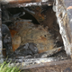 The entrance to an ice cellar that flooded in Point Hope. Photo: Ianjon Brower